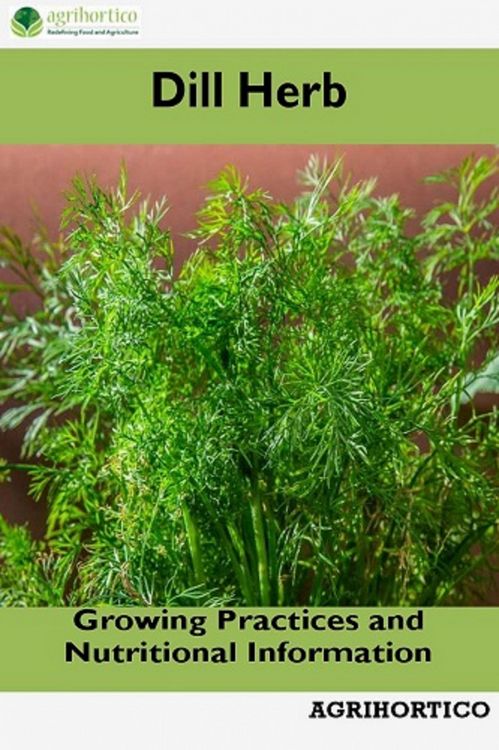 Produktbild: Dill Herb