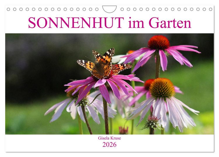 Produktbild: Sonnenhut im Garten (Wandkalender 2026 DIN A4 quer), CALVENDO Monatskalender