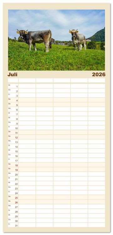 Produktbild: Familienplaner 2026 - S&uuml;dtirol Impressionen mit 5 Spalten (Wandkalender, 21 x 45 cm) CALVENDO
