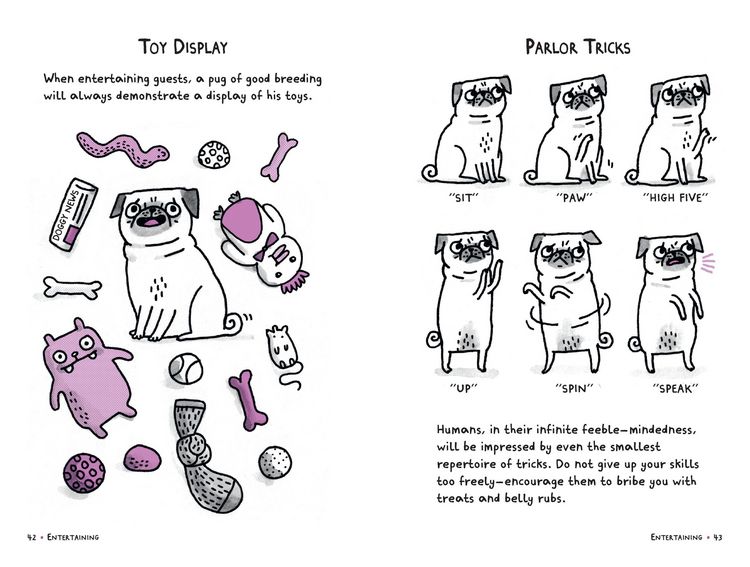 Produktbild: A Pug's Guide to Good Manners