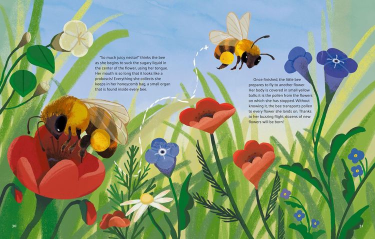 Produktbild: Little Stories from Nature