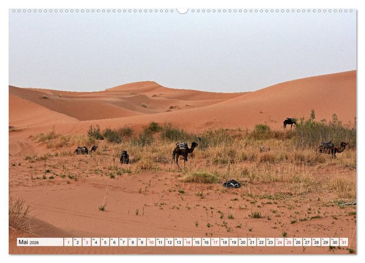Produktbild: Die SAHARA in Marokko, Faszinierende W&uuml;stenregionen (Wandkalender 2026 DIN A2 quer), CALVENDO Monatskalender