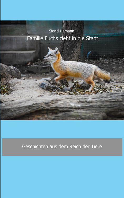 Produktbild: Familie Fuchs zieht in die Stadt