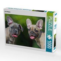 Produktbild: CALVENDO Puzzle Zwei Welpen | 1000 Teile Lege-Gr&ouml;&szlig;e 64x48cm Foto-Puzzle f&uuml;r gl&uuml;ckliche Stunden