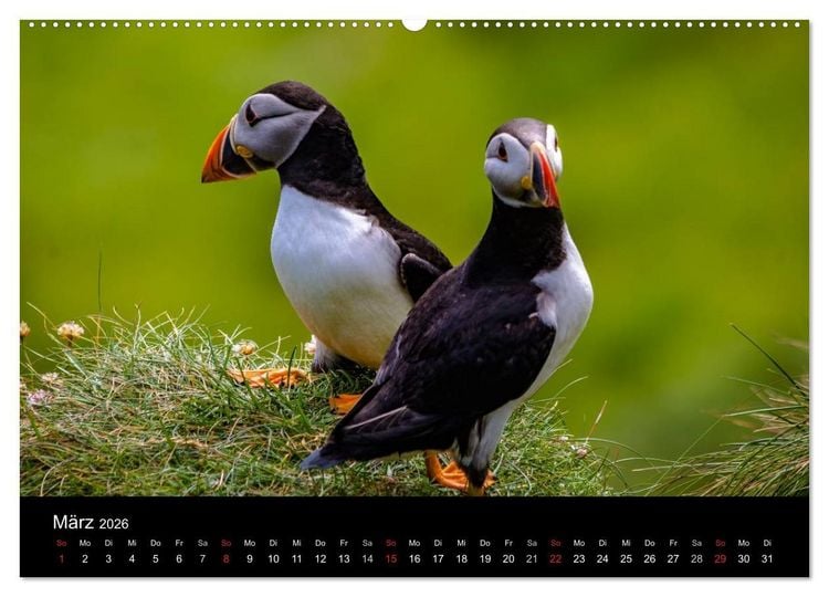 Produktbild: Schottlands Inseln (Wandkalender 2026 DIN A2 quer), CALVENDO Monatskalender