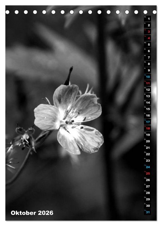 Produktbild: Blumige Graustufen - Schwarz und Wei&szlig; (Tischkalender 2026 DIN A5 hoch), CALVENDO Monatskalender