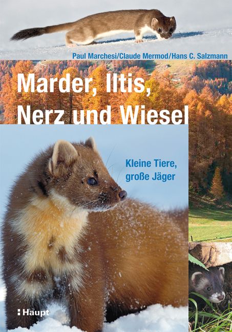 Produktbild: Marder, Iltis, Nerz und Wiesel