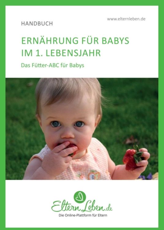 Produktbild: Ern&auml;hrung f&uuml;r Babys im 1. Lebensjahr