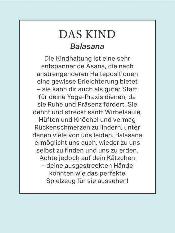 Produktbild: Yoga mit Katze