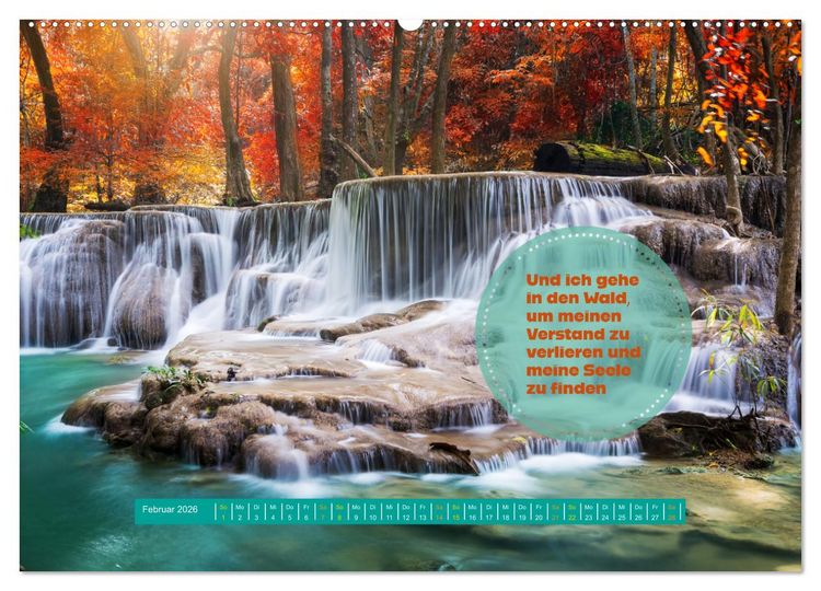 Produktbild: WALD Erholung pur (hochwertiger Premium Wandkalender 2026 DIN A2 quer), Kunstdruck in Hochglanz