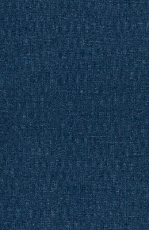 Produktbild: The Mentor's Guide