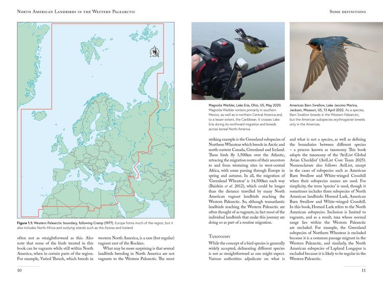 Produktbild: North American Landbirds in the Western Palearctic