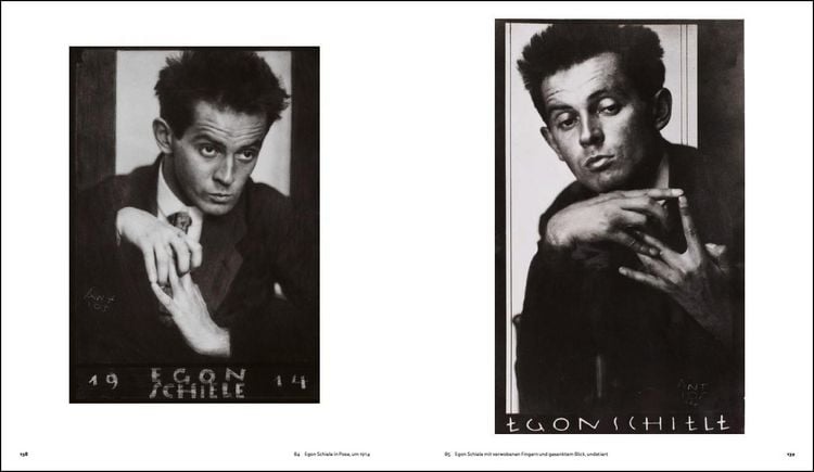 Produktbild: Die Gesichter des Egon Schiele