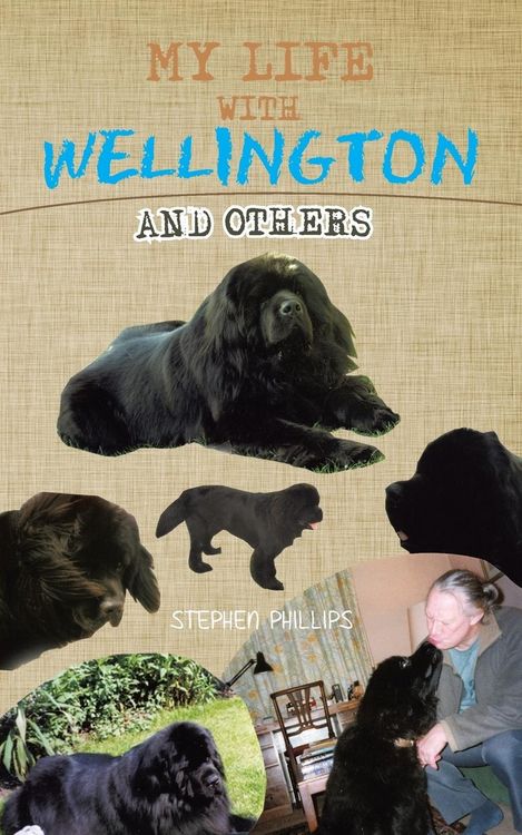 Produktbild: My Life with Wellington