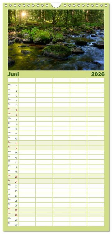Produktbild: Familienplaner 2026 - Harz Landschaften mit 5 Spalten (Wandkalender, 21 x 45 cm) CALVENDO