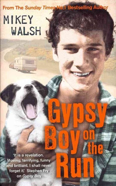 Produktbild: Gypsy Boy on the Run