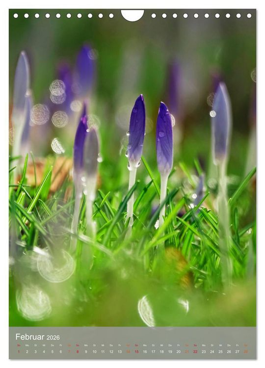 Produktbild: Mit Bokeh-Fotografie durch das Jahr (Wandkalender 2026 DIN A4 hoch), CALVENDO Monatskalender