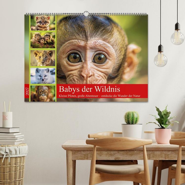 Produktbild: Babys der Wildnis (Wandkalender 2027 DIN A2 quer), CALVENDO Monatskalender