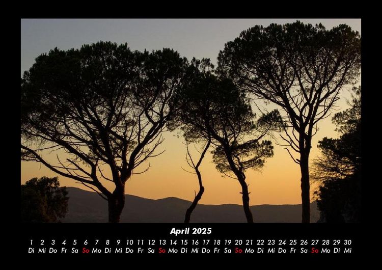 Produktbild: B&auml;ume 2025 Fotokalender DIN A3