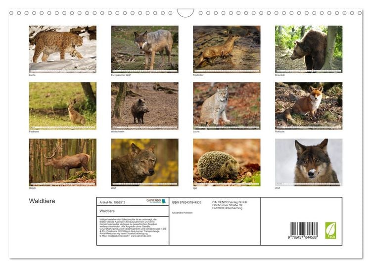 Produktbild: Waldtiere (Wandkalender 2026 DIN A3 quer), CALVENDO Monatskalender