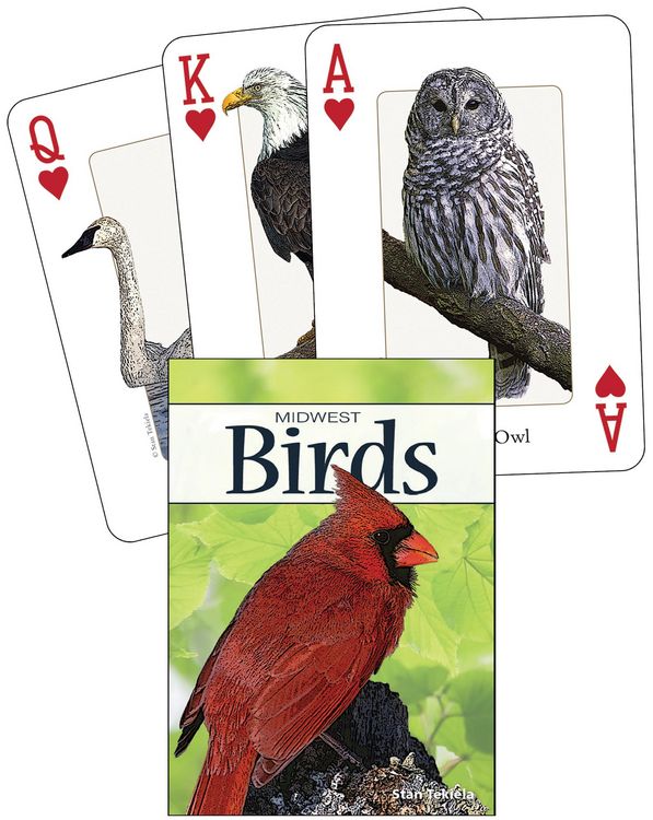 Produktbild: Birds of the Midwest