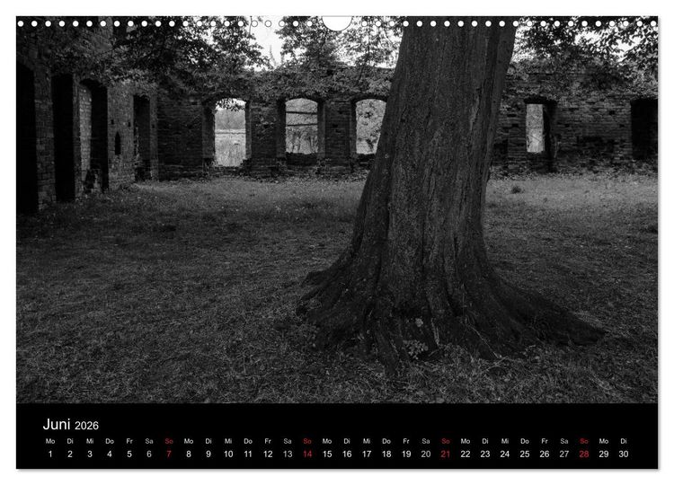 Produktbild: B&auml;ume trees 2026 (Wandkalender 2026 DIN A3 quer), CALVENDO Monatskalender