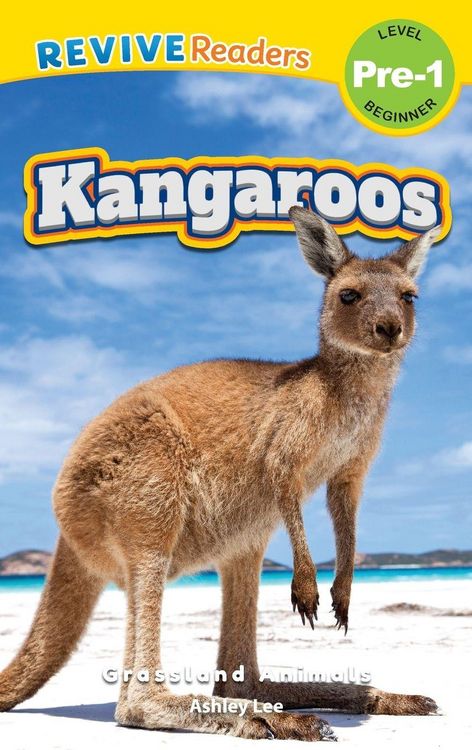 Produktbild: Kangaroos