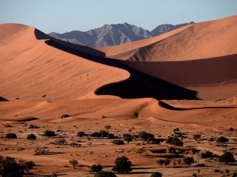 Produktbild: CALVENDO Puzzle D&uuml;nenlandschaft im Namib-Naukluft-Nationalpark | 1000 Teile Lege-Gr&ouml;&szlig;e 64x48cm Foto-Puzzle f&uuml;r gl&uuml;ckliche Stunden