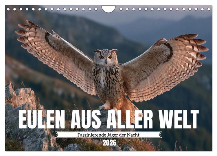 Produktbild: Eulen aus aller Welt - Faszinierende J&auml;ger der Nacht (Wandkalender 2026 DIN A4 quer), CALVENDO Monatskalender