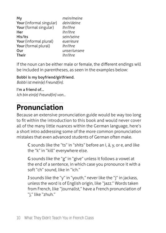 Produktbild: What They Didn't Teach You in German Class