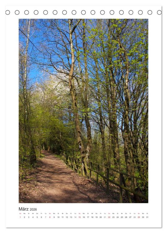 Produktbild: Impressionen aus unserem Wald (Tischkalender 2026 DIN A5 hoch), CALVENDO Monatskalender