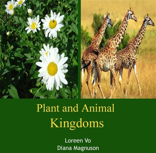 Produktbild: Plant and Animal Kingdoms