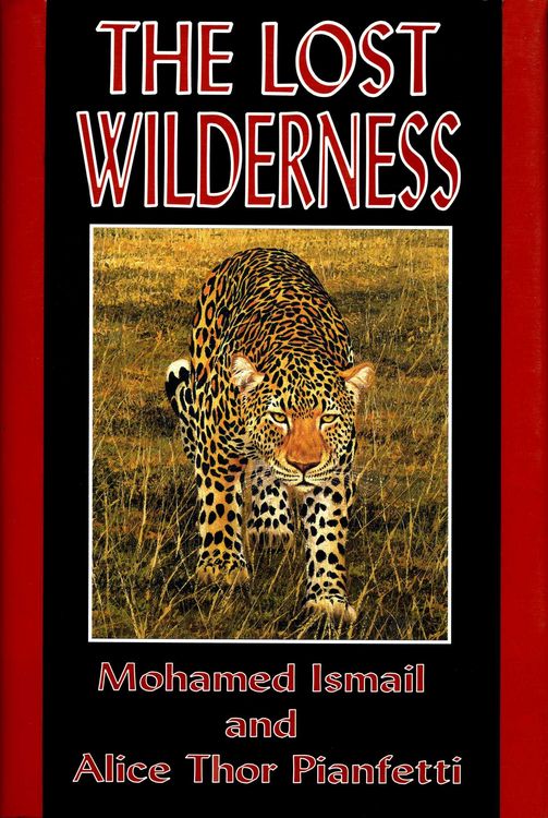 Produktbild: The Lost Wilderness