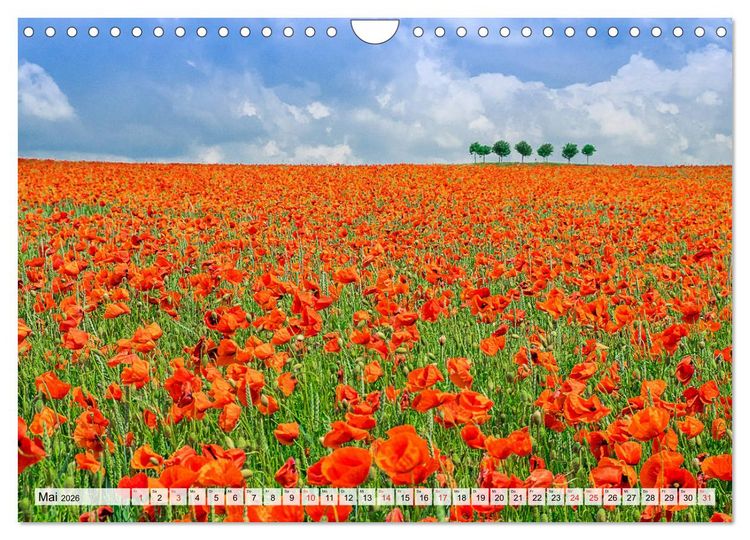 Produktbild: Norddeutsche Landschaften (Wandkalender 2026 DIN A4 quer), CALVENDO Monatskalender