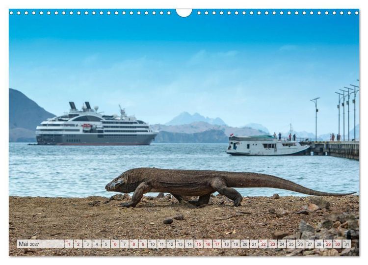 Produktbild: Drachen: Geheimnisvolles Tierreich (Wandkalender 2027 DIN A3 quer), CALVENDO Monatskalender