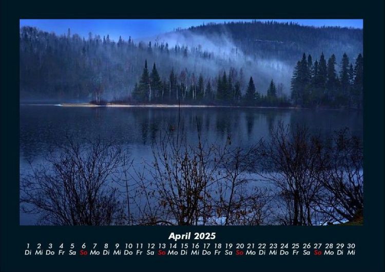 Produktbild: B&auml;ume 2025 Fotokalender DIN A4