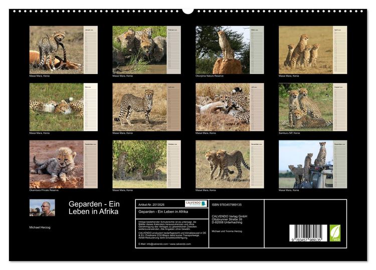 Produktbild: Geparden - Ein Leben in Afrika (hochwertiger Premium Wandkalender 2026 DIN A2 quer), Kunstdruck in Hochglanz