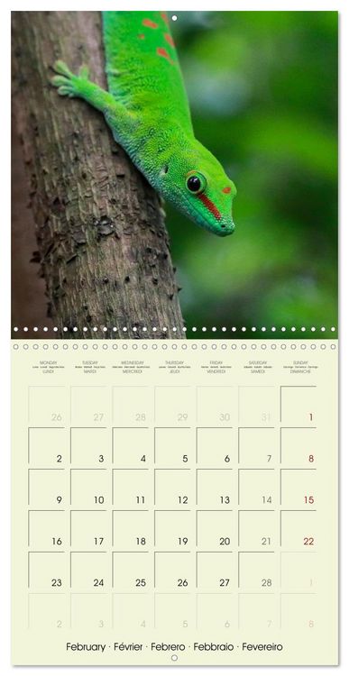 Produktbild: Les merveilles du monde les reptiles (Calendrier mural carr&eacute; 2026 30x30 cm) Calendrier double avec une page pour vos prises de notes