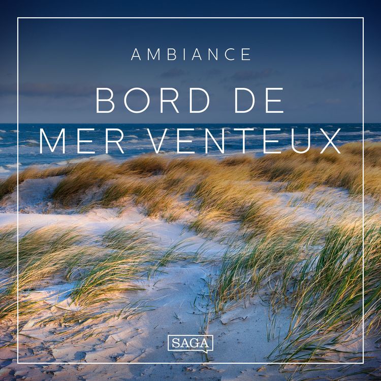 Produktbild: Ambiance &ndash; Bord de mer venteux