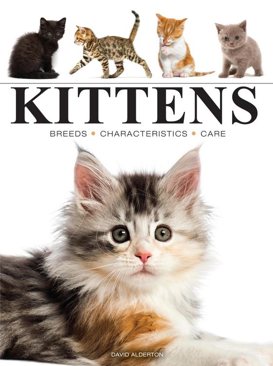 Produktbild: Kittens