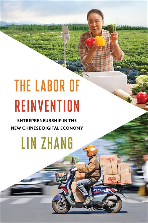 Produktbild: The Labor of Reinvention
