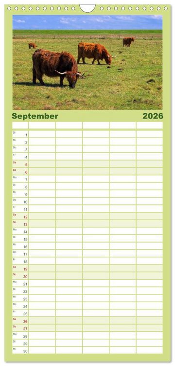 Produktbild: Familienplaner 2026 - Langeoog - Sch&ouml;nste Insel Ostfrieslands mit 5 Spalten (Wandkalender, 21 x 45 cm) CALVENDO
