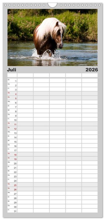 Produktbild: Familienplaner 2026 - Faszination und Vielfalt - Schwarzw&auml;lder Kaltblut mit 5 Spalten (Wandkalender, 21 x 45 cm) CALVENDO