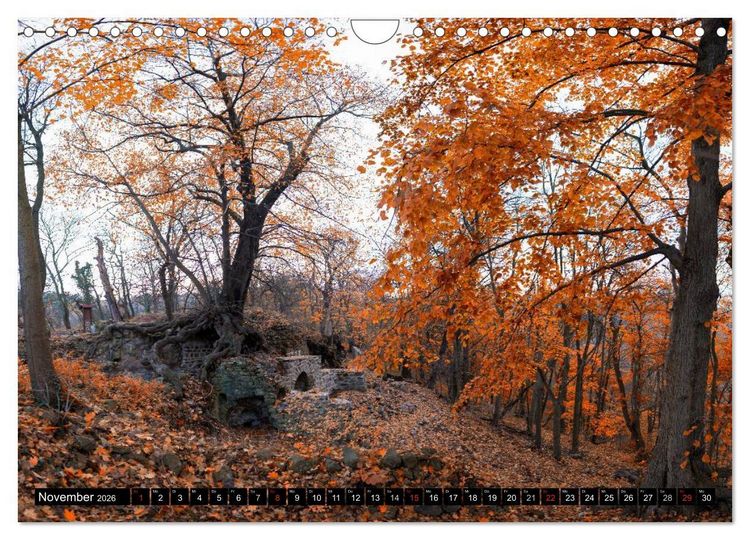 Produktbild: Der Harz einfach magisch (Wandkalender 2026 DIN A4 quer), CALVENDO Monatskalender