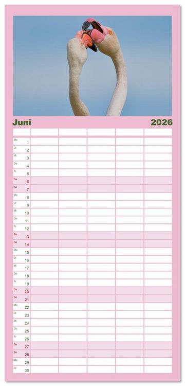 Produktbild: Familienplaner 2026 - The Power Of Pink mit 5 Spalten (Wandkalender, 21 x 45 cm) CALVENDO