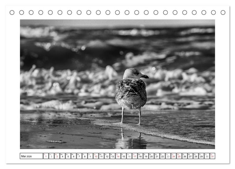 Produktbild: Am Strand von St. Peter-Ording SCHWARZ-WEISS (Tischkalender 2026 DIN A5 quer), CALVENDO Monatskalender