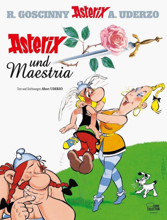 Produktbild: Asterix 29