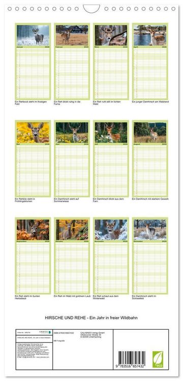 Produktbild: Familienplaner 2026 - HIRSCHE UND REHE - Ein Jahr in freier Wildbahn mit 5 Spalten (Wandkalender, 21 x 45 cm) CALVENDO