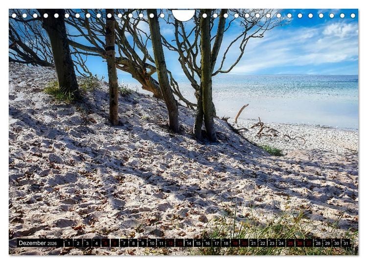Produktbild: Fischland - Dar&szlig;- Zingst (Wandkalender 2026 DIN A4 quer), CALVENDO Monatskalender