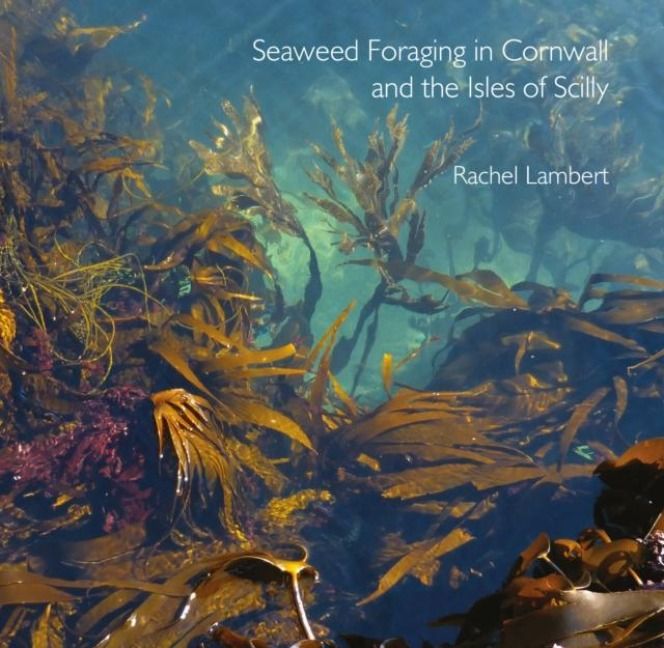Produktbild: Seaweed Foraging in Cornwall and the Isles of Scilly